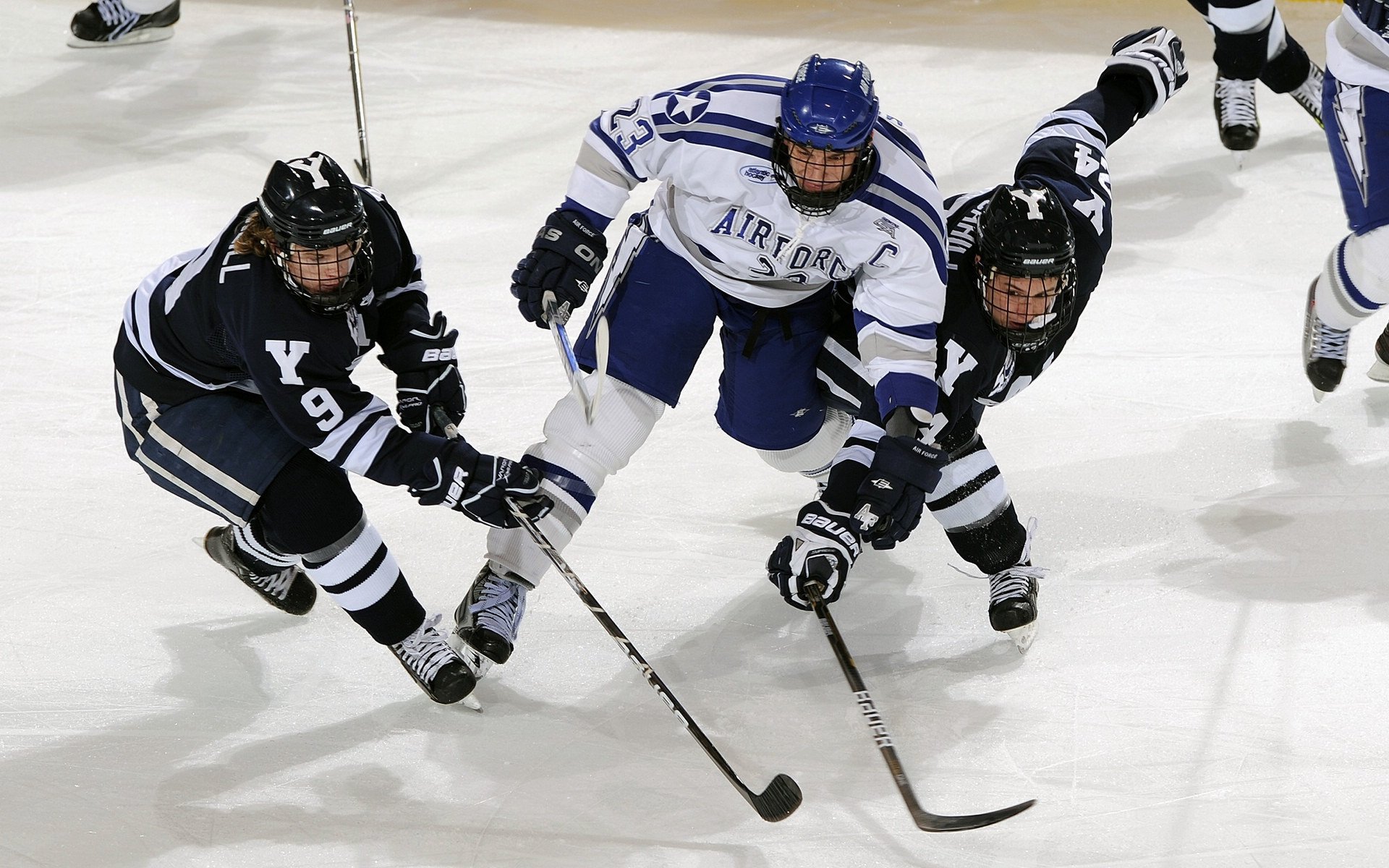 范弗利特定律,当尼克斯遇见深圳,舞台的魔法如何改写胜负