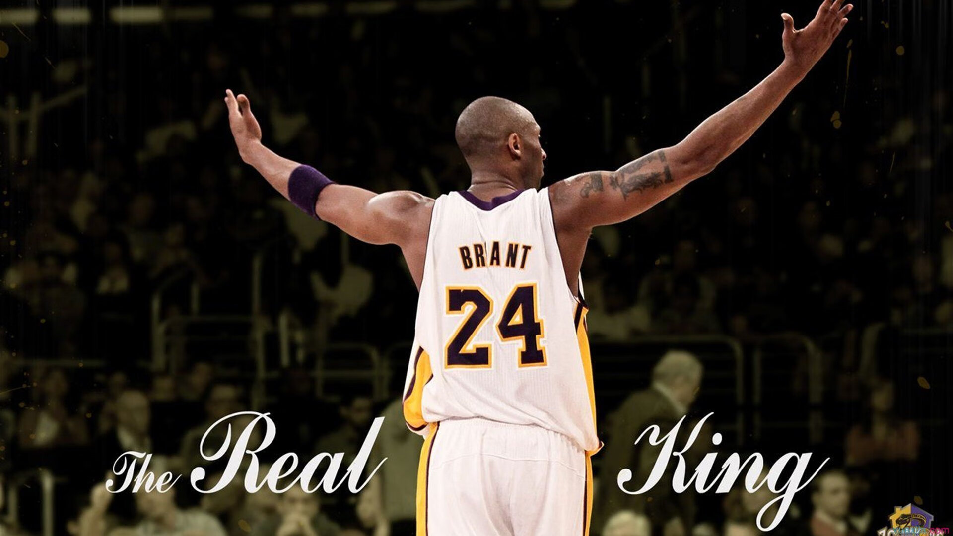 绿茵与硬木的共振，当欧冠淘汰赛的勇士强行终结猛龙的狂想